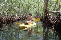 Mangrove Lagoon Kayak, Snorkel & Swim Excursion
