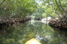 Mangrove Lagoon Kayak, Snorkel & Swim Excursion
