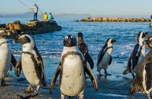 4 Day Garden Route & Addo National Park Adventure from Cape Town