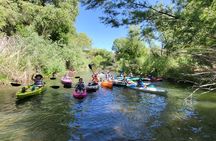 Kayak Fishing on the Verde 4hr Cottonwood, AZ 20Min From Sedona