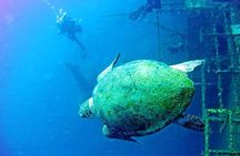 Larnaca Private Zenobia Beginners Divers