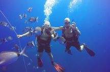 Larnaca Private Zenobia Beginners Divers
