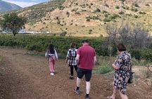 Wine Tours & Tasting in Family Wineries in Arcadia or Nemea