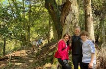 Kyoto Hiking Tour: The Nature and Legends of Kurama and Kibune