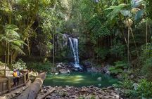 Gold Coast: HOHO - Tamborine Rainforest Skywalk + Glow Worm Caves