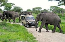 5-Days Tanzania Joining Group Safari : Best Price 2025/2026