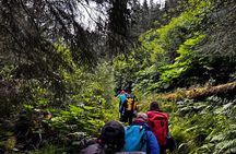 Moose Pass Hiking and Kayak Guided Tour Experience