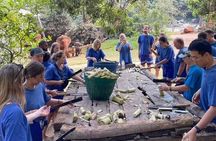 Elephant Care and Sticky Waterfalls (Bua Thong Waterfalls) Tour