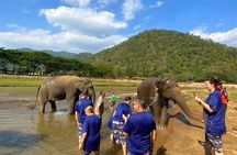 Elephant Care and Sticky Waterfalls (Bua Thong Waterfalls) Tour