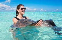 Grand Cayman Catamaran Tour to Stingray City and Rum Point