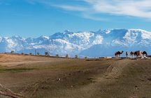Agafay Desert Sunset tour with camel ride ,dinner and show 