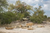 3 Day Kruger Safari Fly-in From Johannesburg