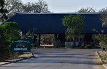3 Day Kruger Safari Fly-in From Johannesburg