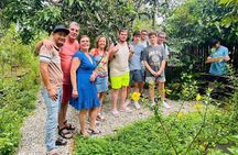 Explore South Phu Quoc Highlights on a Private Tour
