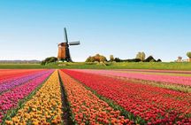 Keukenhof Garden Private Tour From Amsterdam Included tickets!