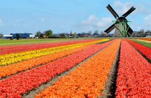 Keukenhof Garden Private Tour From Amsterdam Included tickets!