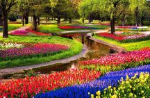 Keukenhof Garden Private Tour From Amsterdam Included tickets!