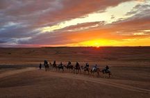 Agafay Desert Camel riding with sunset and dinner and berber show