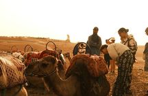 Agafay Desert Camel riding with sunset and dinner and berber show