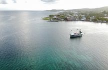 Private Roatan Sightseeing Tour