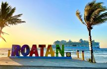 Private Roatan Sightseeing Tour