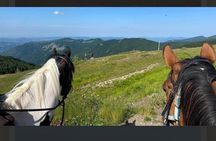 Horseback riding in the Tuscan hills