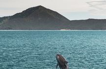 From Havelock to Marlborough Sounds Postie's Day Off Cruise