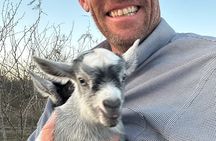 Birds, bees, plants and goats.