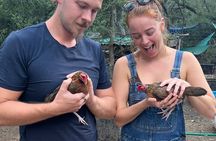 Birds, bees, plants and goats.