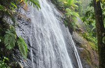 El Yunque National Rainforest and Luquillo Beach Tour