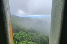El Yunque National Rainforest and Luquillo Beach Tour