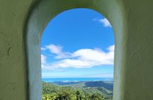 El Yunque National Rainforest and Luquillo Beach Tour