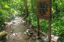 El Yunque National Rainforest and Luquillo Beach Tour