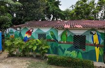 Parrot & Macaw Volunteering in a Wildlife Reserve Near Cartagena