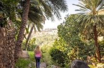 Muscat: Nizwa Market & Fort, Jabel Akhdar Full-Day Tour + Lunch 