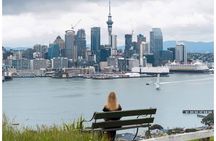 A 5 Hour Private City Highlights: Unveiling Auckland's Treasures