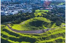 A 5 Hour Private City Highlights: Unveiling Auckland's Treasures