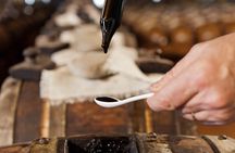 Guided Modena Sightseeing and Food Tour