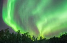 Rovaniemi Insider: Northern lights trip for families