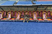 Olympic Stadium Tour with Expert Guide in Rome 