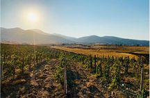 Paros Wine Tasting at a Local Winery