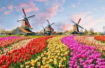 Tulip Paradise: Keukenhof Half-Day Private Tour 