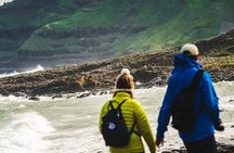 Afternoon Giant's Causeway Half Day Tour from Belfast