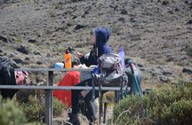 Budget 5 Days Marangu route Kilimanjaro Climbing Group join Tour