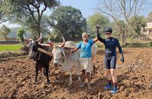 Udaipur Countryside Biking excursion 