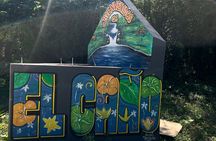 Coffee and Chocolate Plantation Tour 