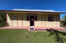 Coffee and Chocolate Plantation Tour 