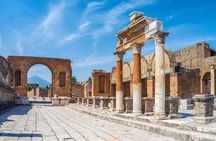 POMPEI Half Day TOUR - Departure from NAPLES Centre (TICKET INCLUDED)