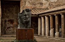 POMPEI Half Day TOUR - Departure from NAPLES Centre (TICKET INCLUDED)