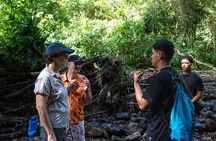The Ultimate Jaco Waterfall Experience – Adventure & Serenity